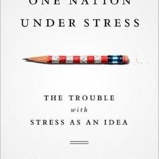 One Nation Under Stress